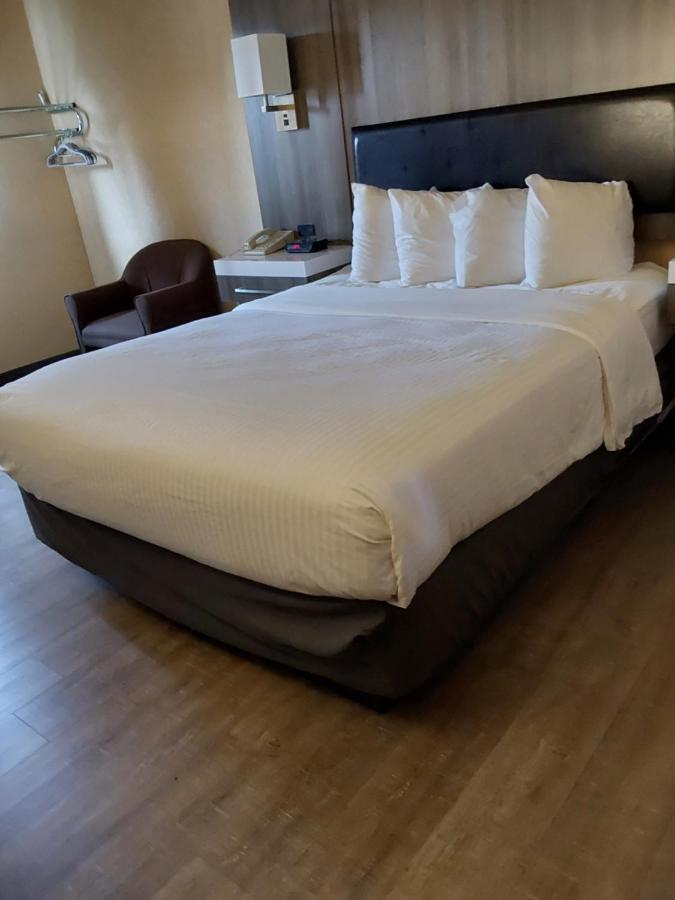 Lavissh Inn And Suites Bellingham Kültér fotó