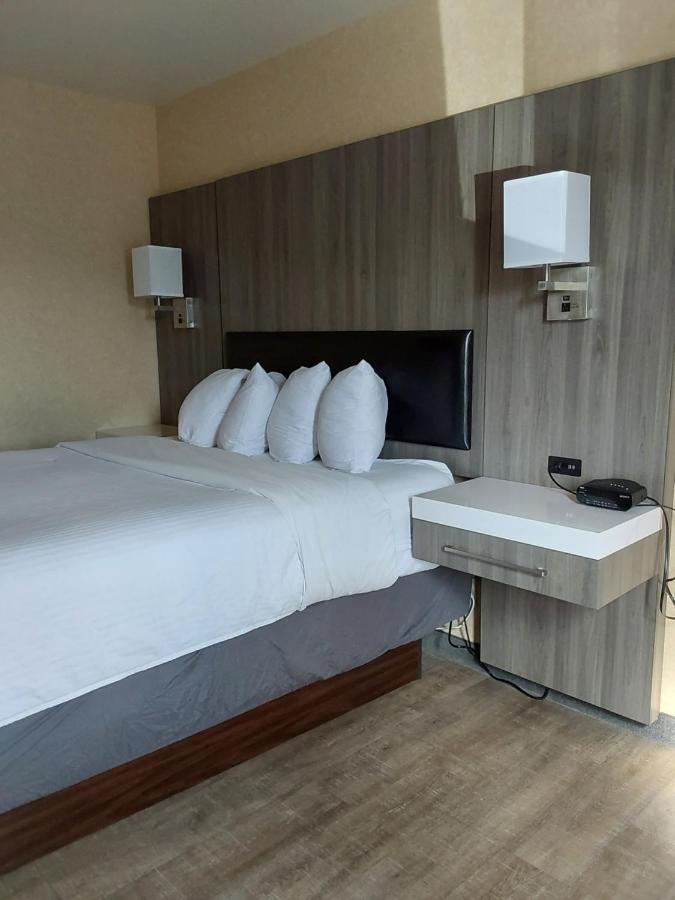 Lavissh Inn And Suites Bellingham Kültér fotó