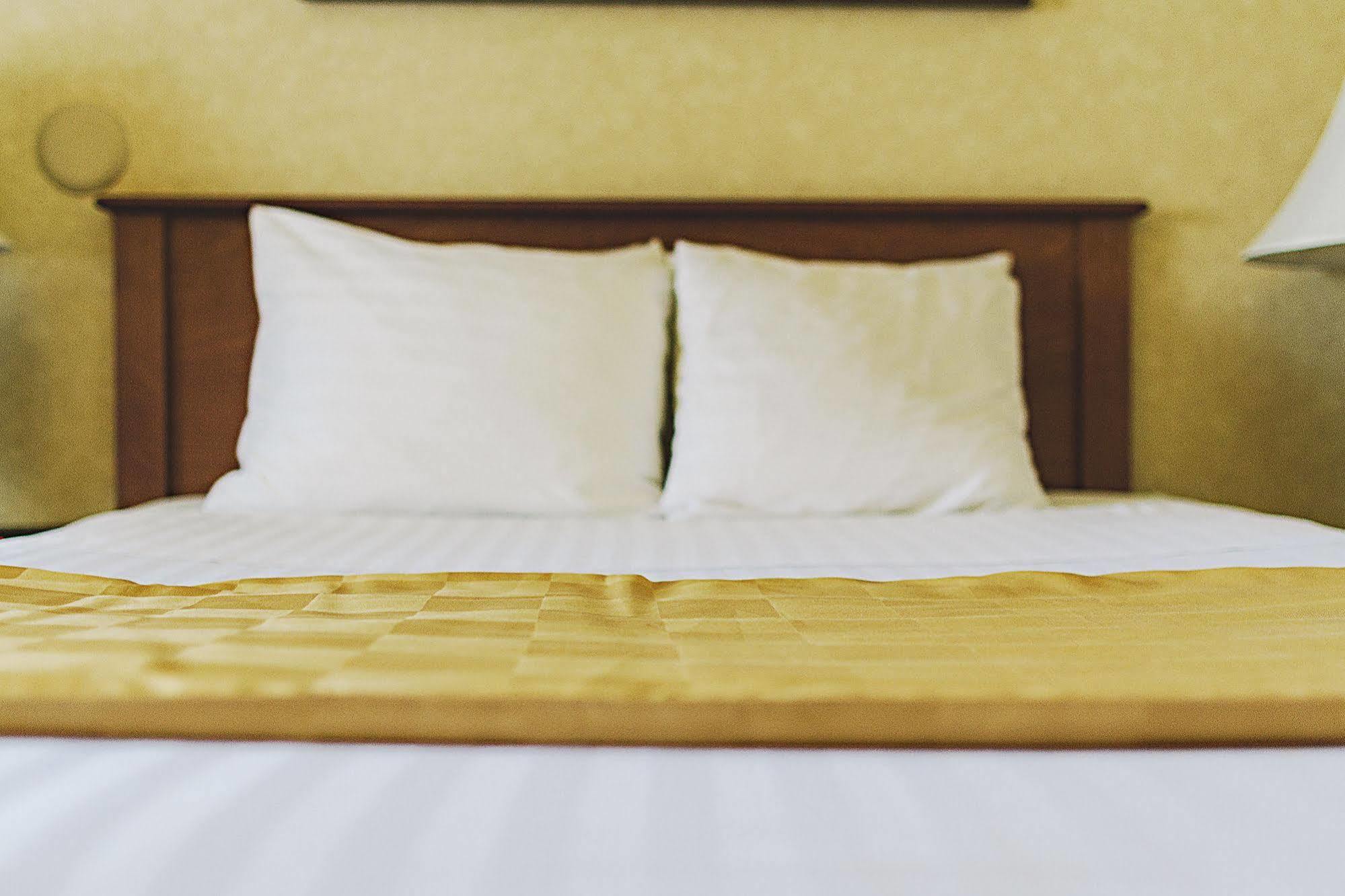 Lavissh Inn And Suites Bellingham Kültér fotó