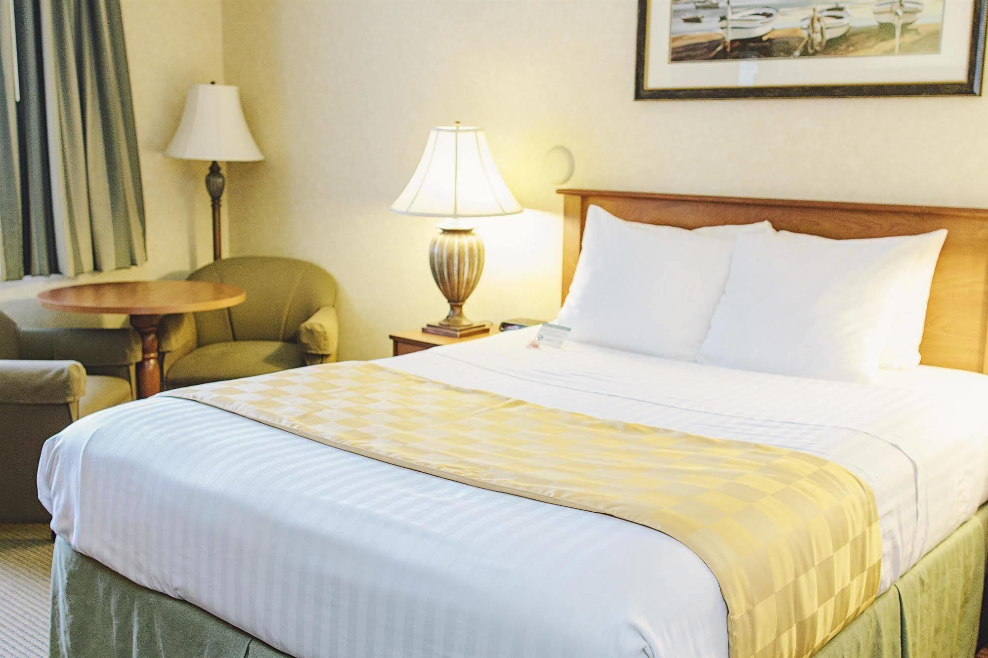 Lavissh Inn And Suites Bellingham Kültér fotó